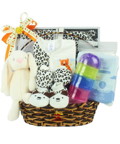 Newborn Welcome Gift Basket
