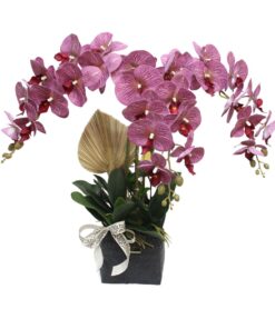 rich boysenberry purple orchid