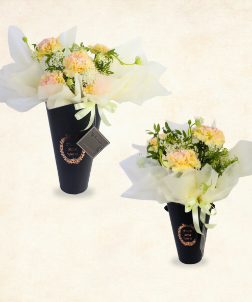 Vibrant Bicolour Carnation Box