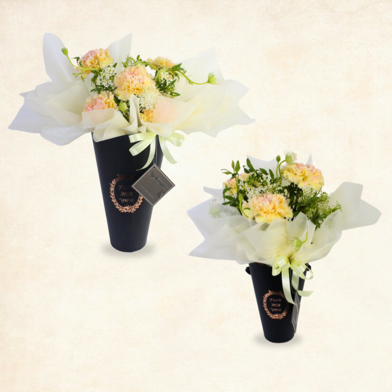 Vibrant Bicolour Carnation Bouquet