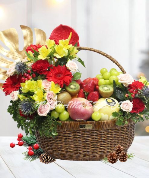 Noel Wellness Fruit Basket (Klang Valley)
