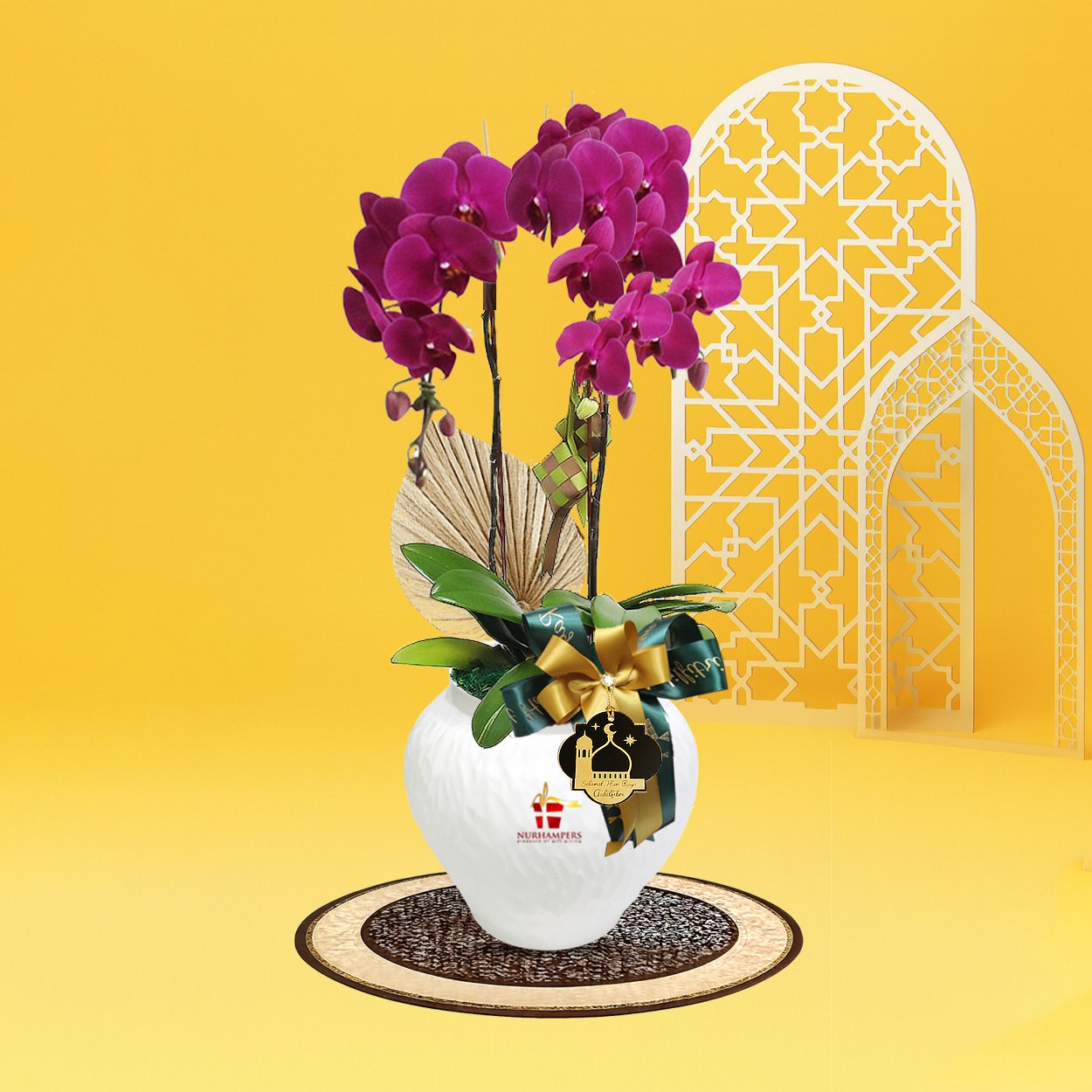 RAYYA Phalaenopsis Orchid (2 stalk)