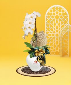 Cahaya Phalaenopsis Orchid (1 stalk) - Image 2