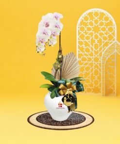 Cahaya Phalaenopsis Orchid (1 stalk) - Image 4