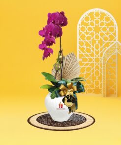 Cahaya Phalaenopsis Orchid (1 stalk) - Image 3
